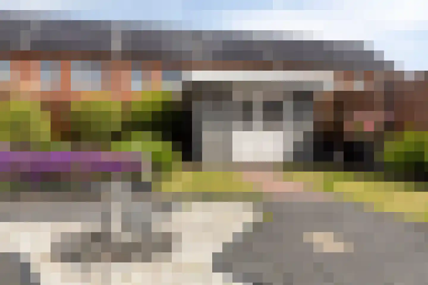 Bachstraat 16 Halsteren thumbnail 35