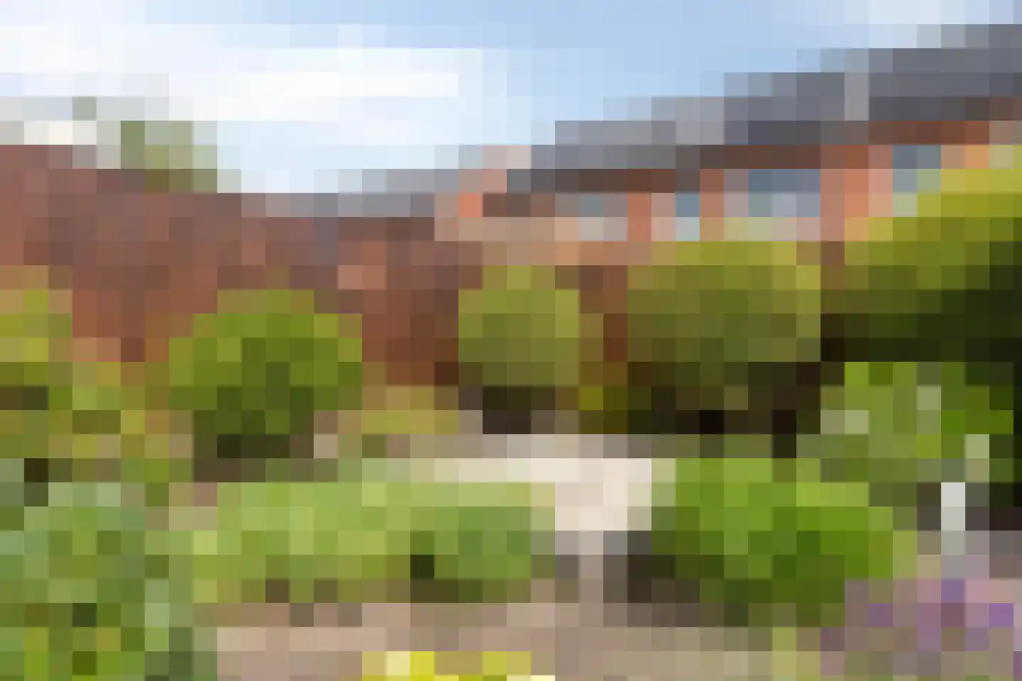 Bachstraat 16 Halsteren thumbnail 36