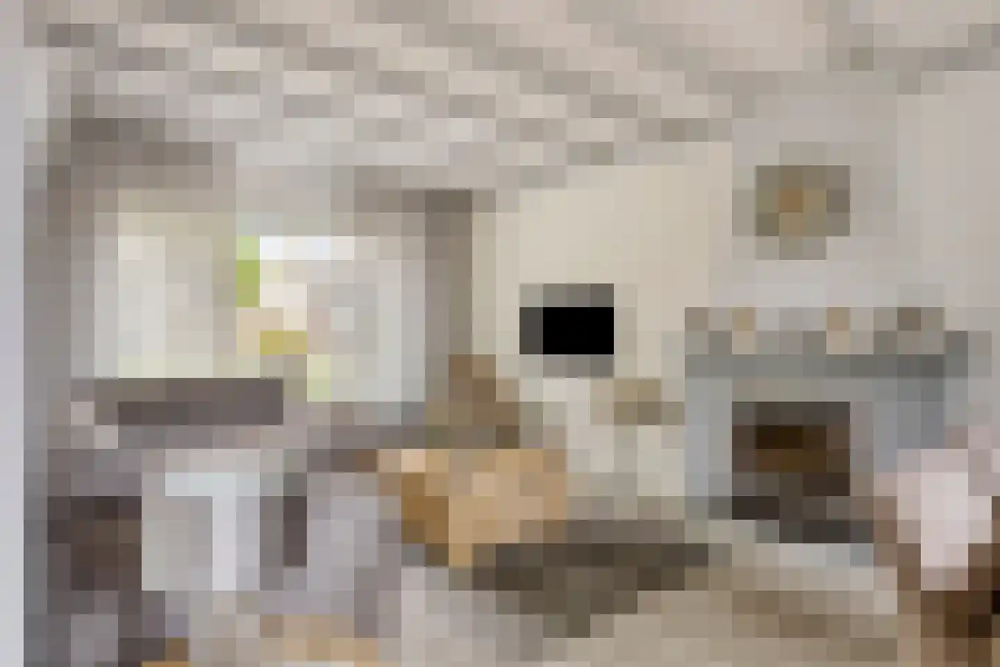 Bachstraat 16 Halsteren thumbnail 4