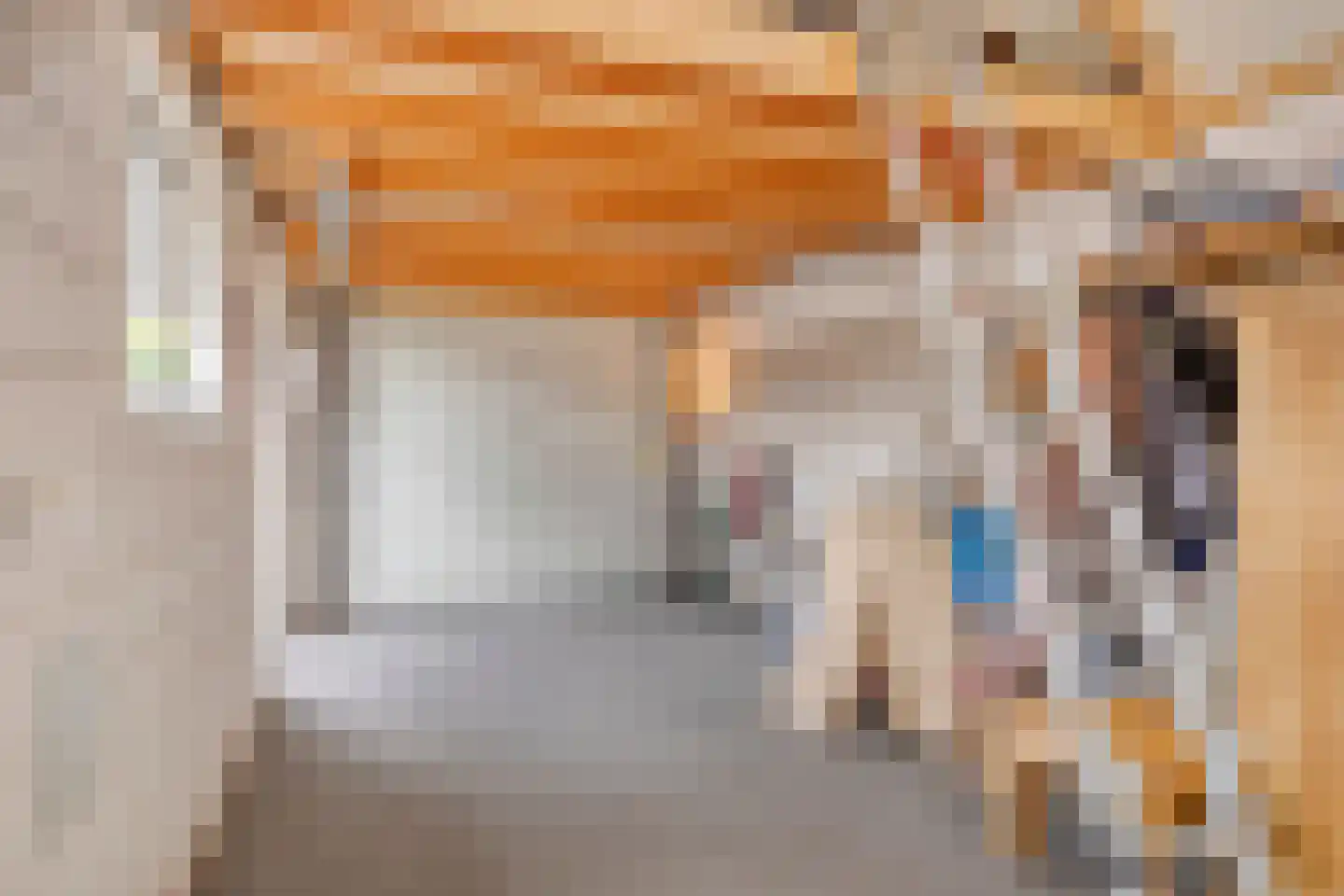 Bachstraat 16 Halsteren thumbnail 41