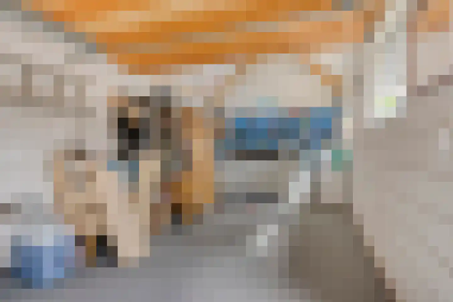 Bachstraat 16 Halsteren thumbnail 42