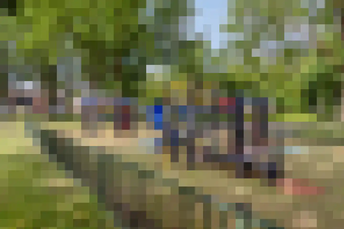 Bachstraat 16 Halsteren thumbnail 46