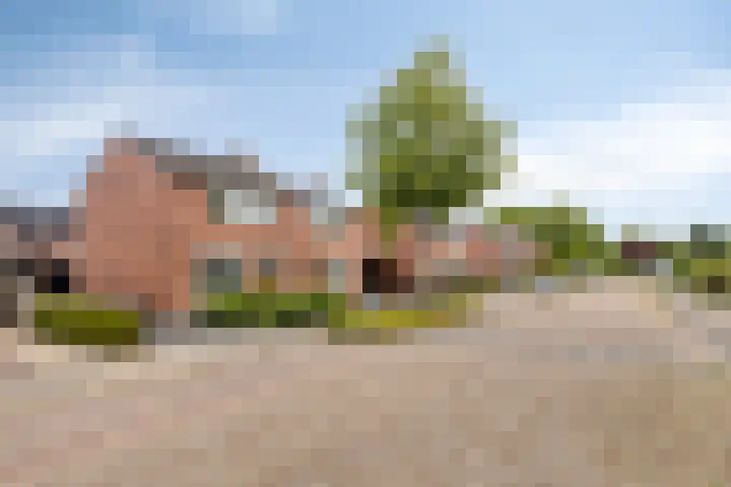 Bachstraat 16 Halsteren thumbnail 48
