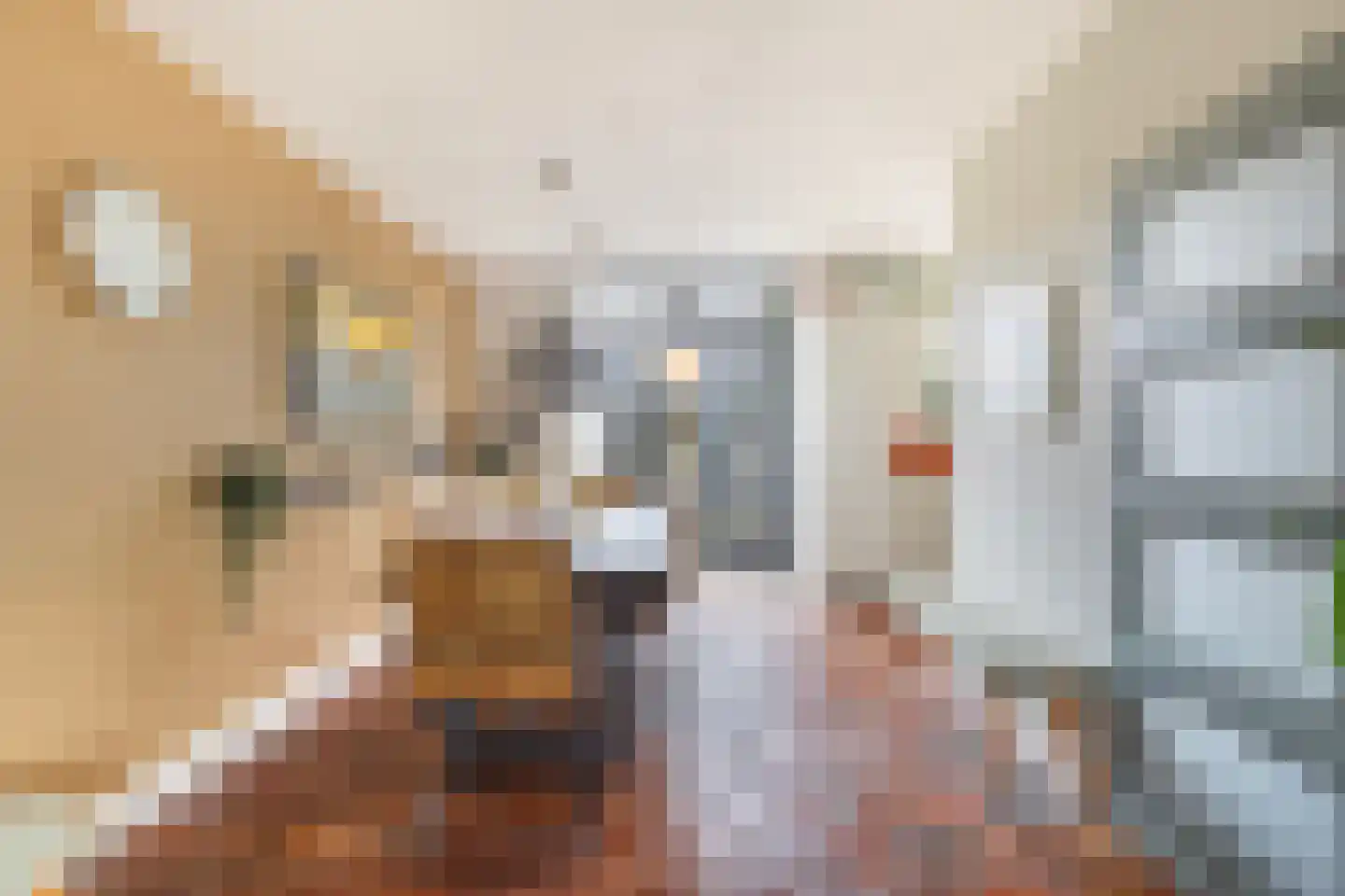 Bachstraat 16 Numansdorp thumbnail 12