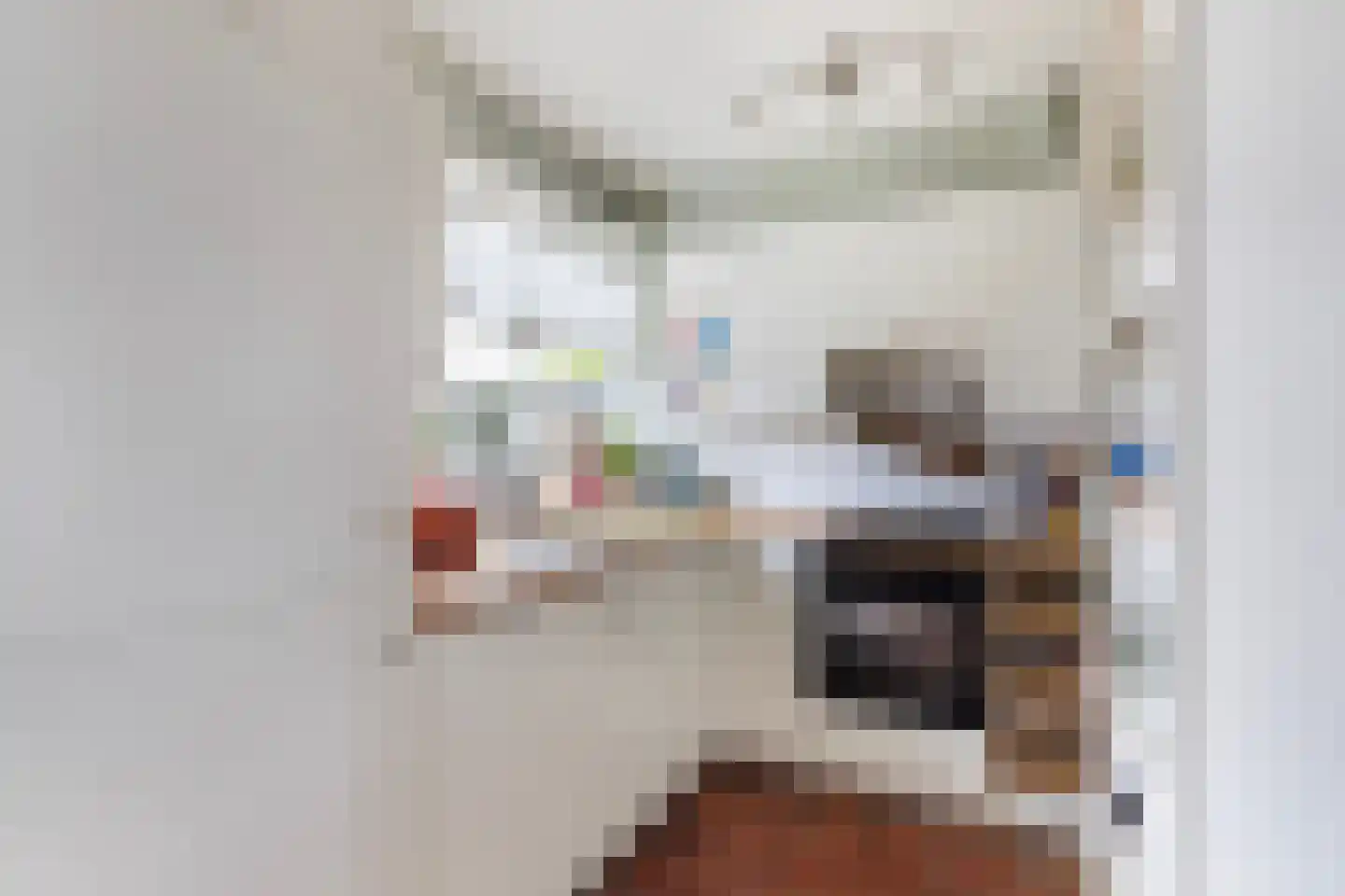 Bachstraat 16 Numansdorp thumbnail 14
