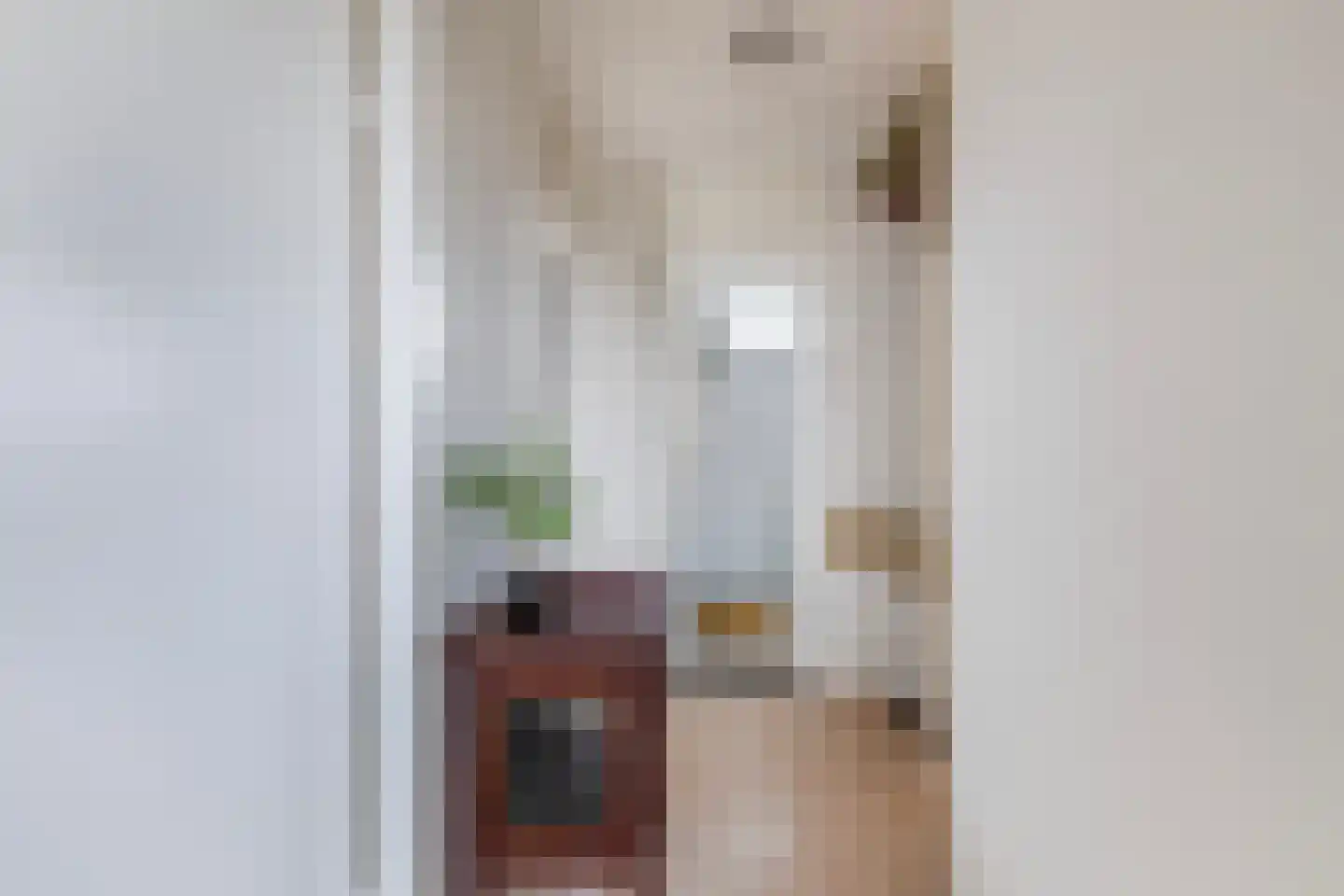 Bachstraat 16 Numansdorp thumbnail 17
