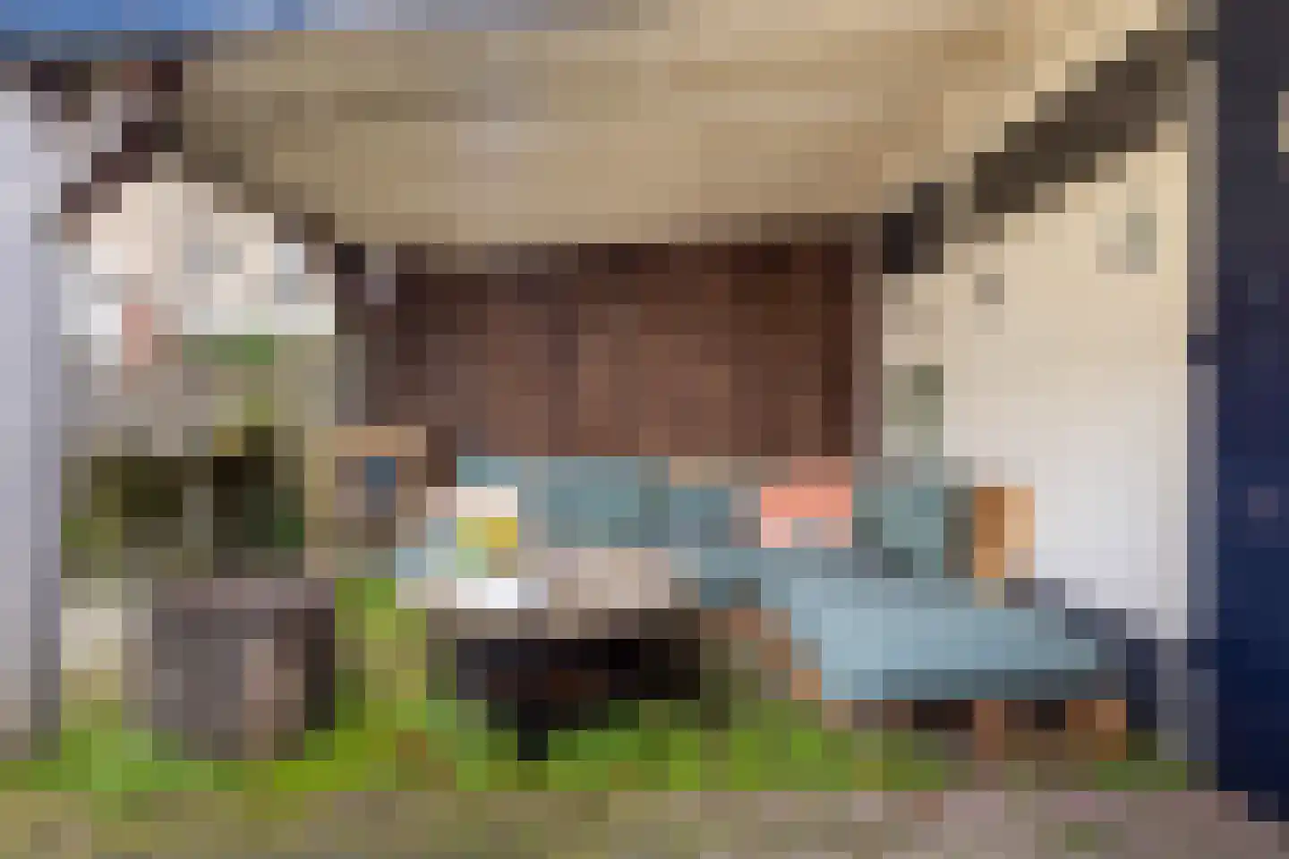 Bachstraat 16 Numansdorp thumbnail 35