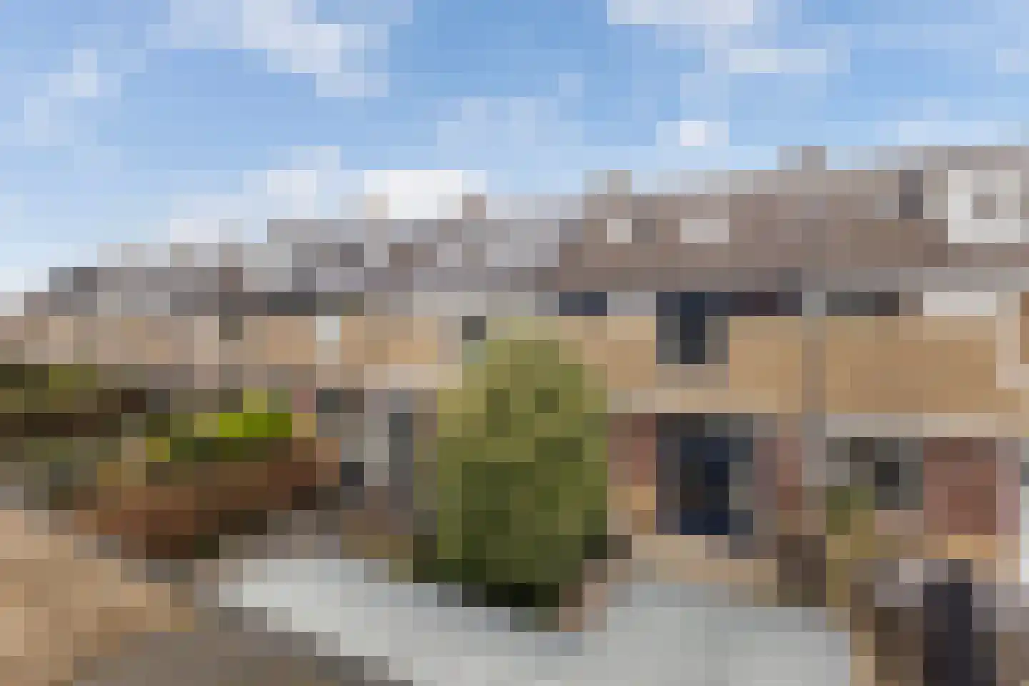 Bachstraat 16 Numansdorp thumbnail 36