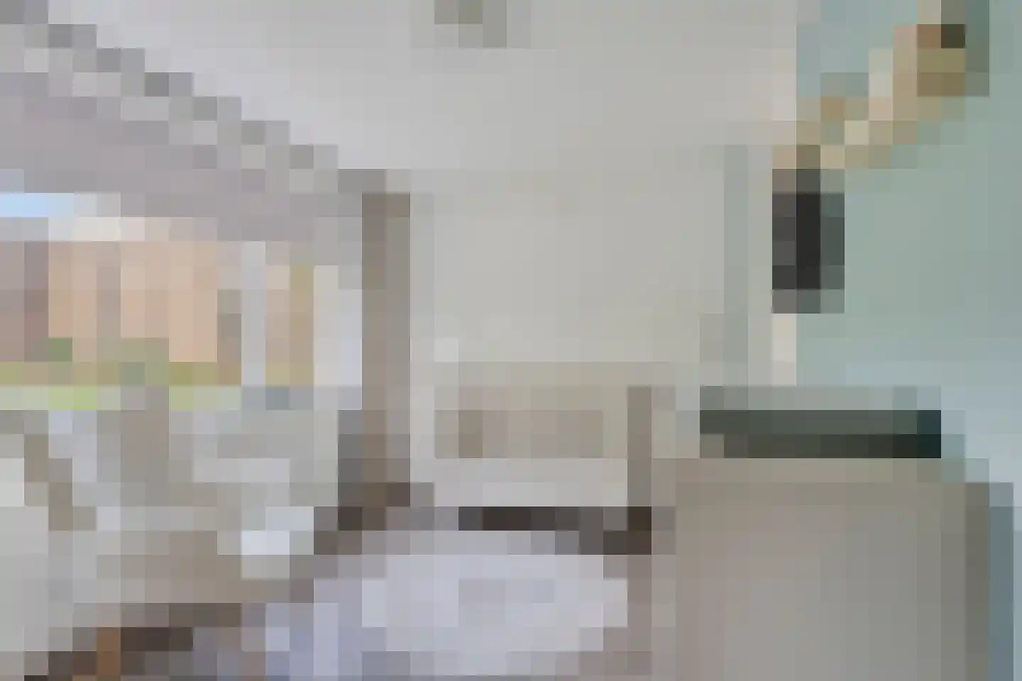 Bachstraat 16 Wolvega thumbnail 15