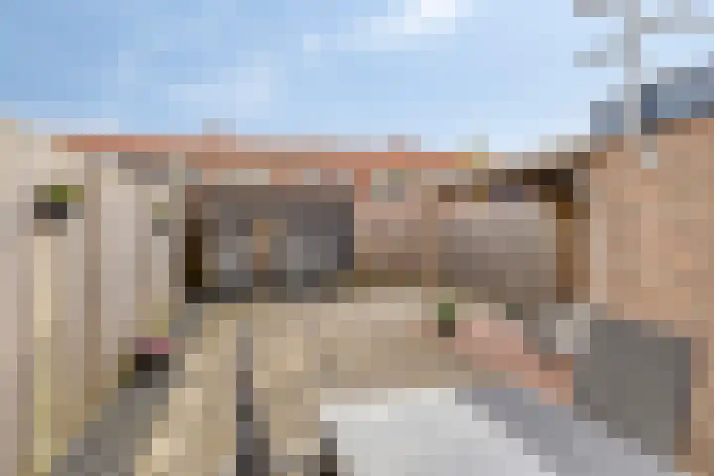 Bachstraat 16 Wolvega thumbnail 19