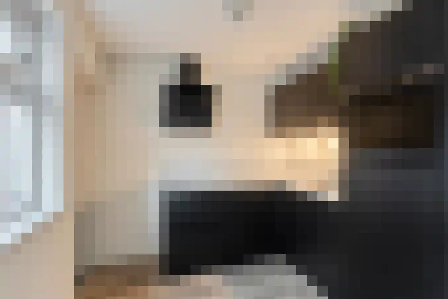 Bachstraat 16 Wolvega thumbnail 8