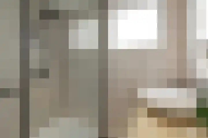 Bachstraat 17 Axel thumbnail 26