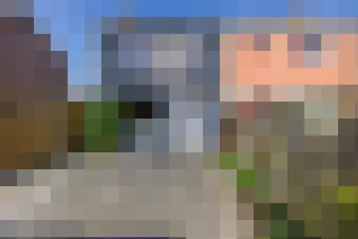 Bachstraat 17 Axel thumbnail 7