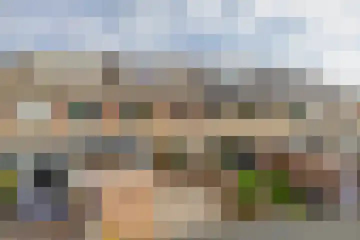 Bachstraat 17 Capelle aan den IJssel thumbnail 25
