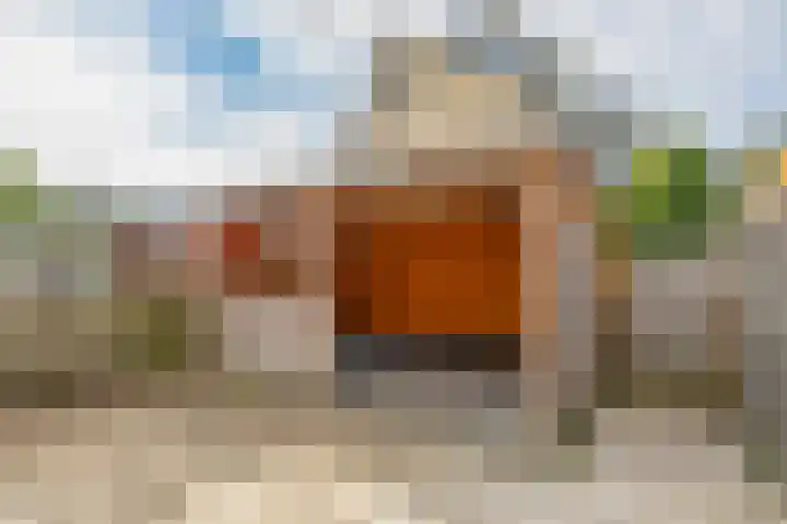 Bachstraat 17 Capelle aan den IJssel thumbnail 29