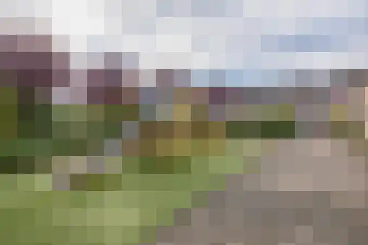 Bachstraat 17 Capelle aan den IJssel thumbnail 30