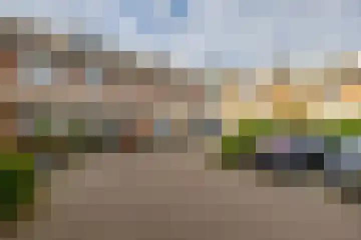 Bachstraat 17 Capelle aan den IJssel thumbnail 5