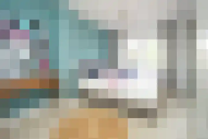 Bachstraat 17 Nijmegen thumbnail 14