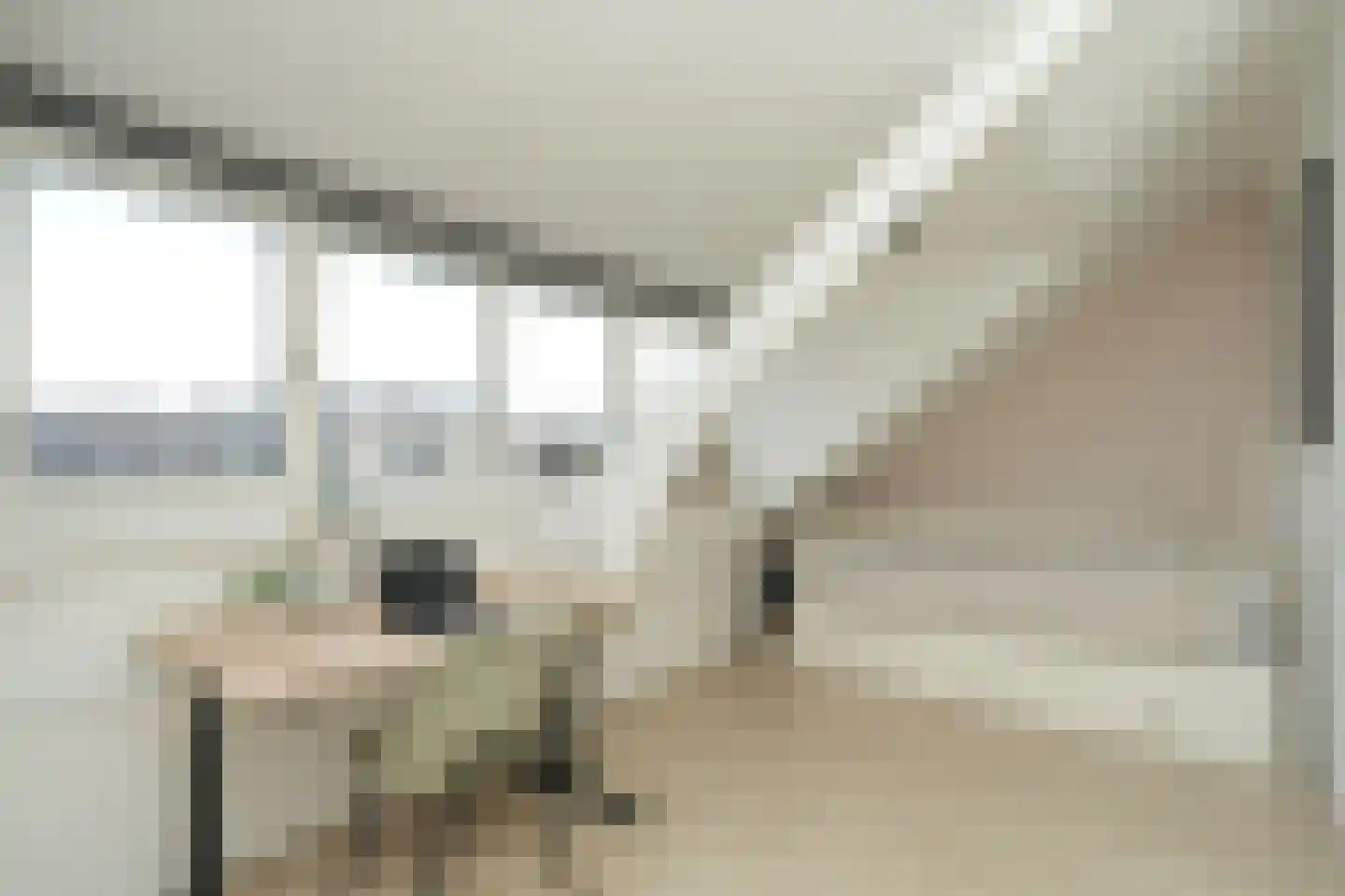 Bachstraat 17 Nijmegen thumbnail 25