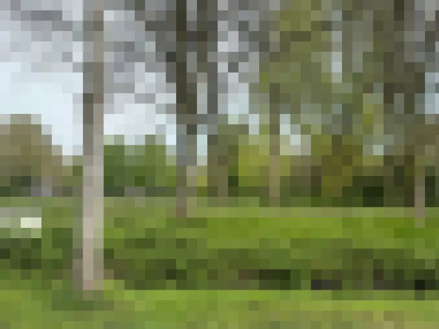 Bachstraat 19 Nieuwegein thumbnail 32