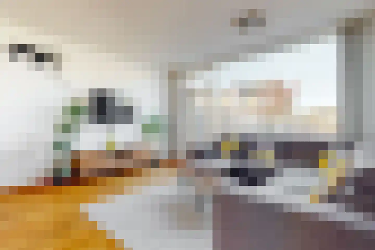 Bachstraat 19 Nieuwegein thumbnail 5