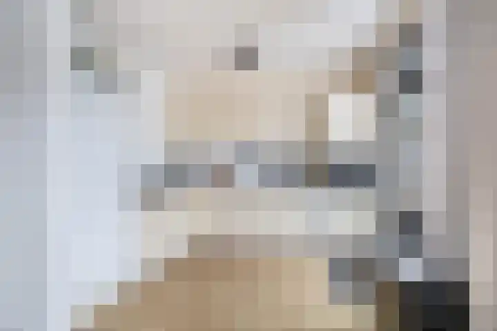 Bachstraat 2 Lisse thumbnail 17