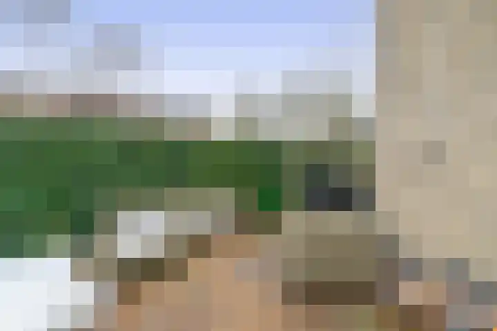 Bachstraat 2 Lisse thumbnail 22