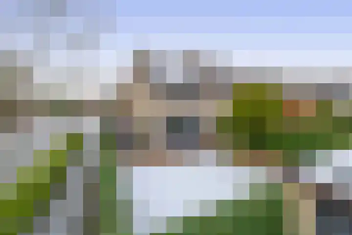 Bachstraat 2 Lisse thumbnail 25