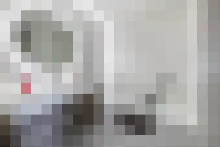 Bachstraat 2 Lisse thumbnail 31