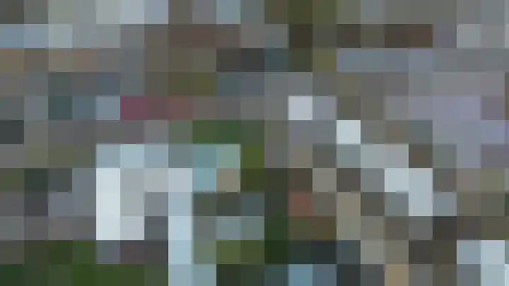 Bachstraat 2 Lisse thumbnail 48