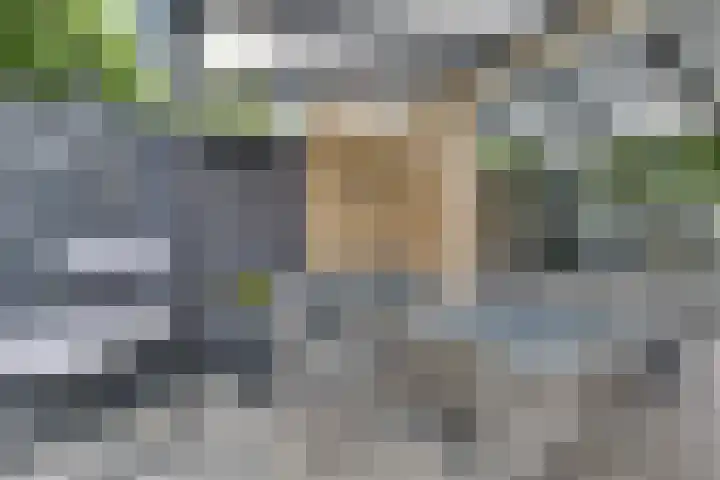 Bachstraat 20 Geleen thumbnail 33