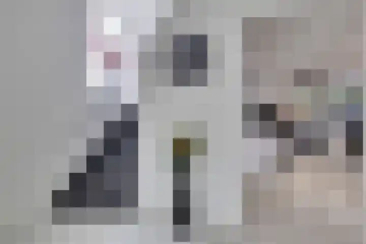 Bachstraat 20 Geleen thumbnail 6