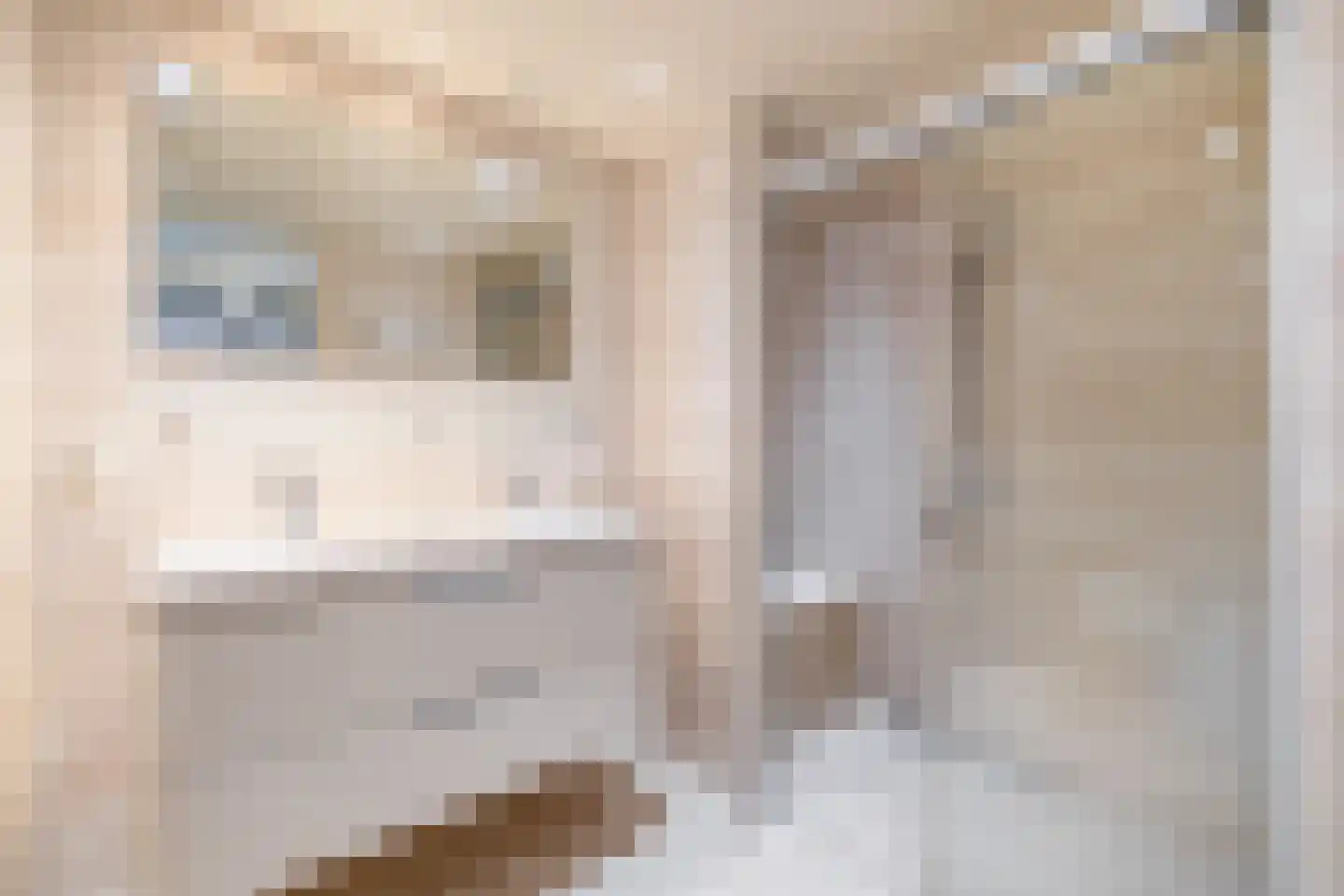 Bachstraat 20 Lisse thumbnail 15