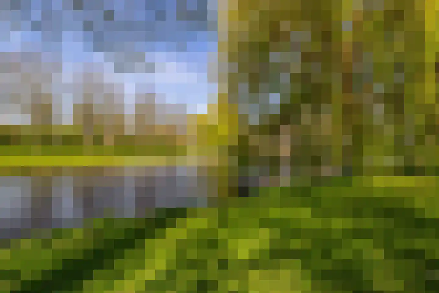Bachstraat 20 Lisse thumbnail 29
