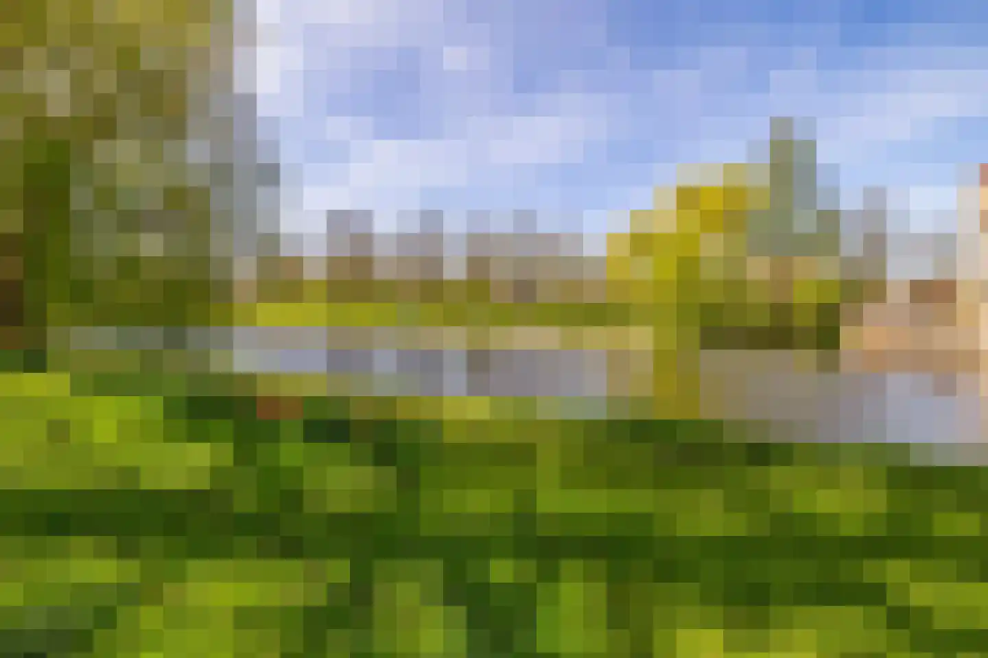 Bachstraat 20 Lisse thumbnail 30