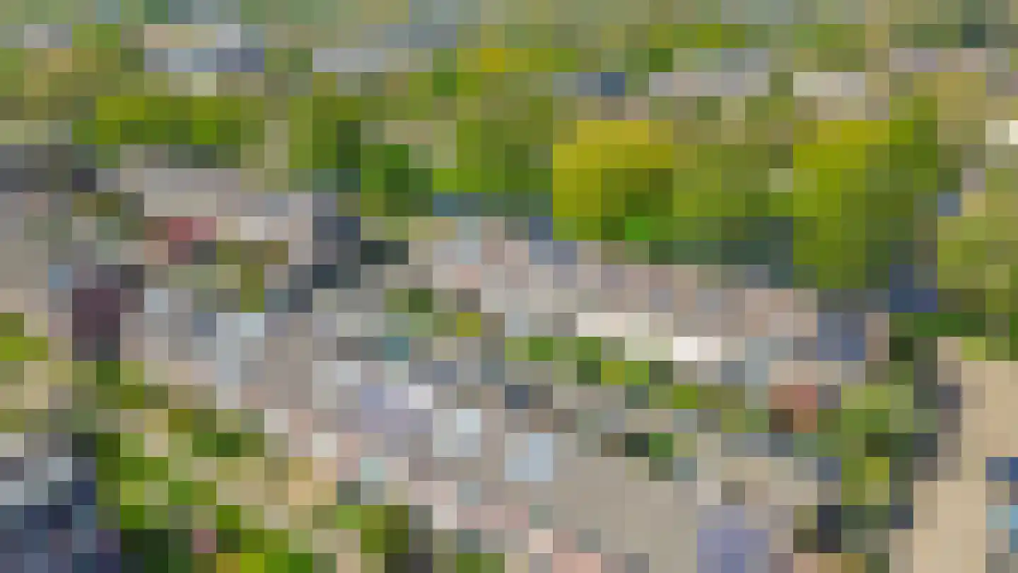 Bachstraat 20 Lisse thumbnail 32