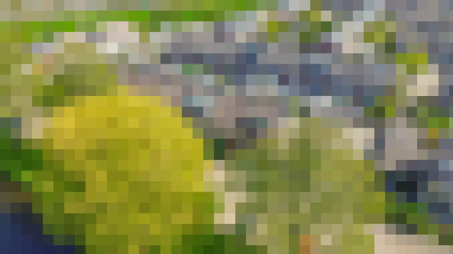 Bachstraat 20 Lisse thumbnail 33