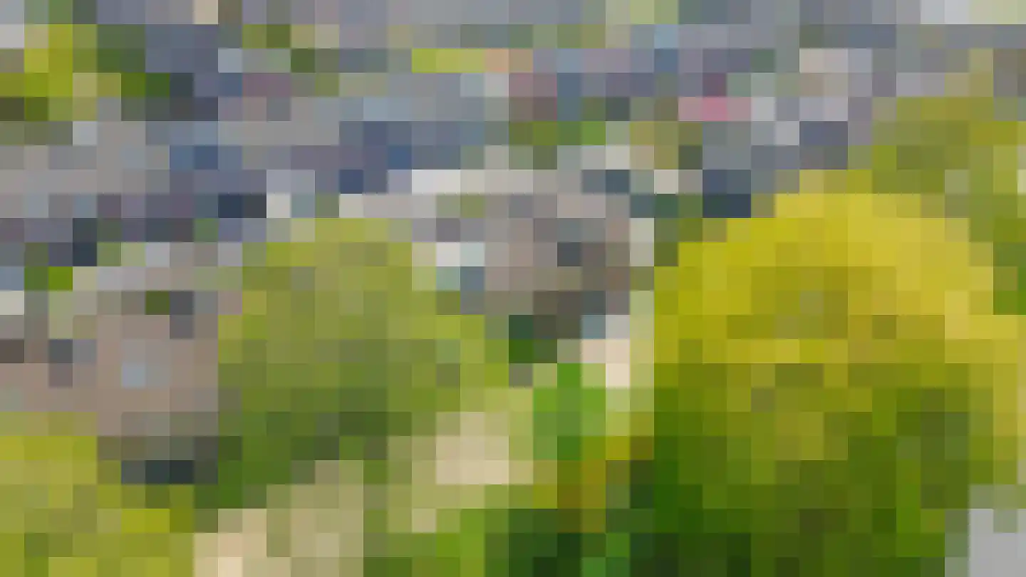 Bachstraat 20 Lisse thumbnail 34