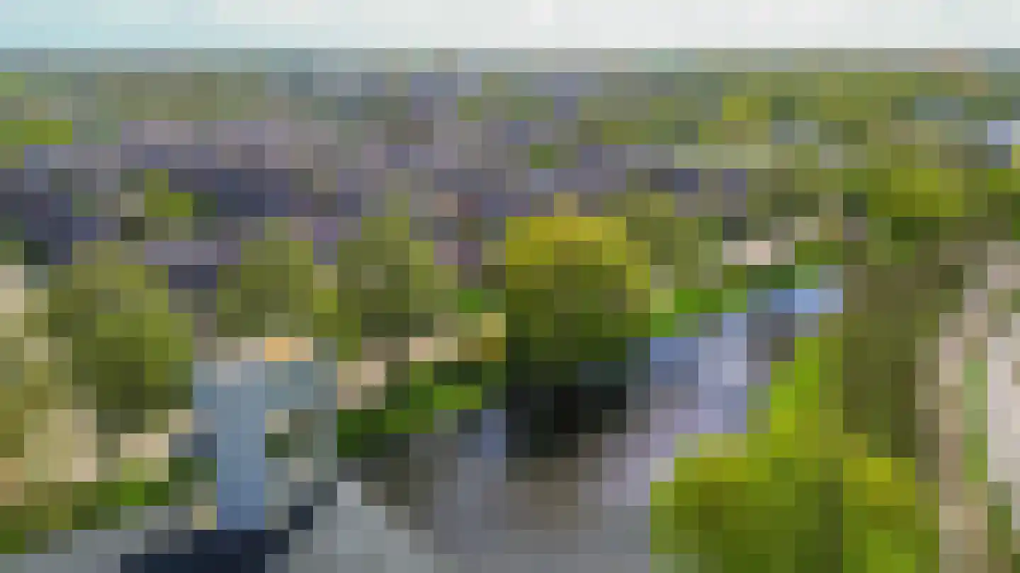 Bachstraat 20 Lisse thumbnail 35