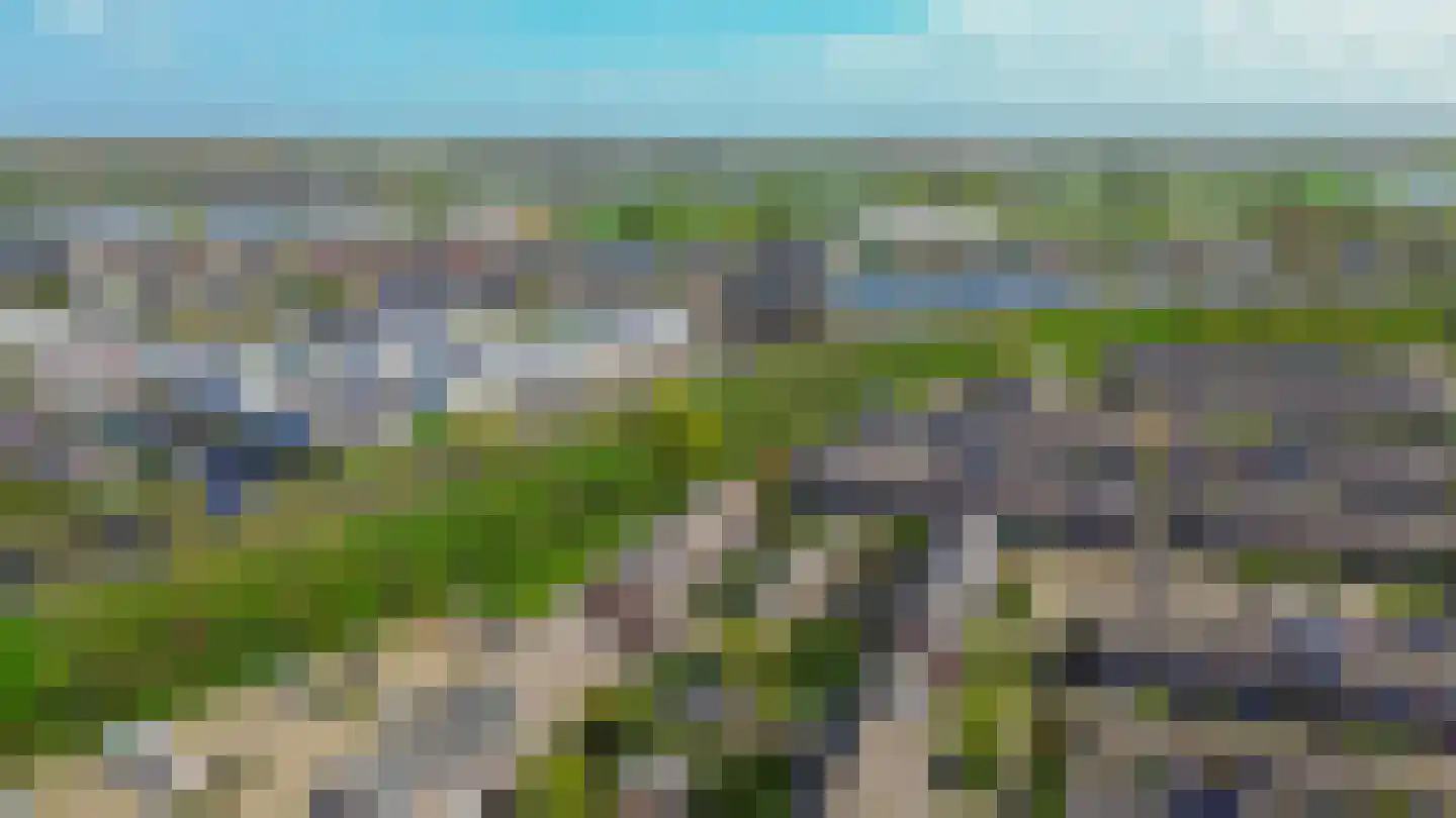 Bachstraat 20 Lisse thumbnail 36