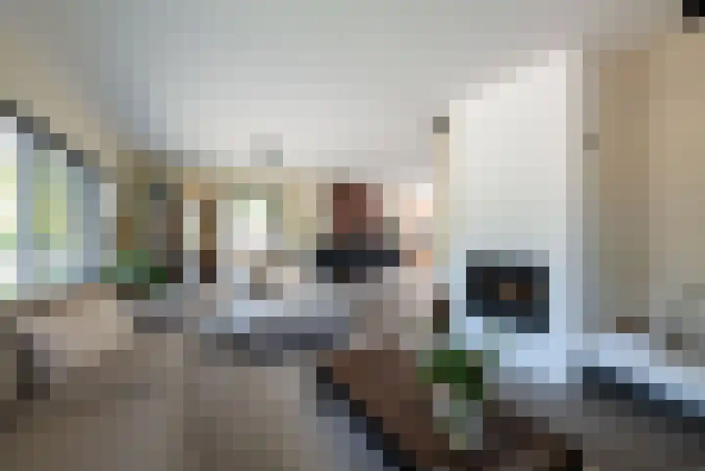 Bachstraat 21 Hellevoetsluis thumbnail 9