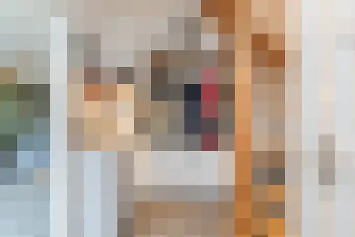 Bachstraat 22 Halsteren thumbnail 16