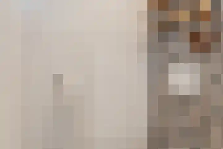 Bachstraat 22 Halsteren thumbnail 19