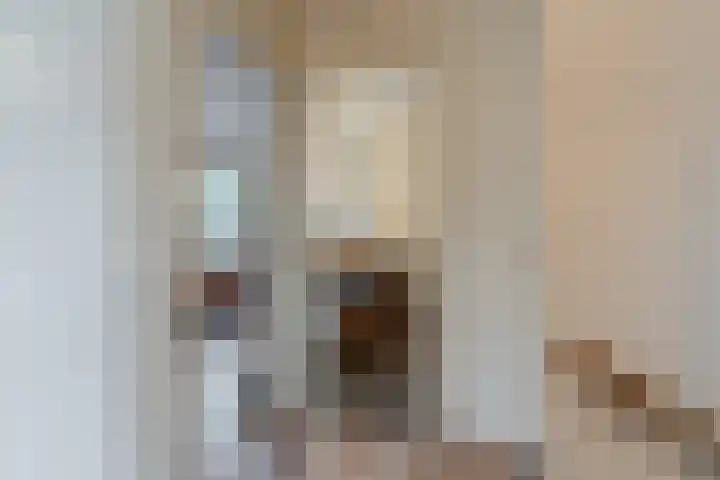 Bachstraat 22 Halsteren thumbnail 27