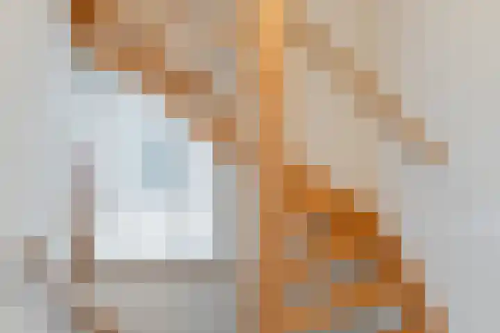 Bachstraat 22 Halsteren thumbnail 28