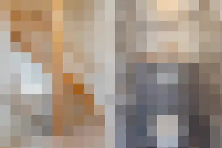 Bachstraat 22 Halsteren thumbnail 30