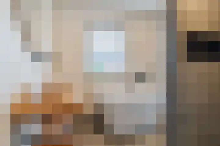 Bachstraat 22 Halsteren thumbnail 31