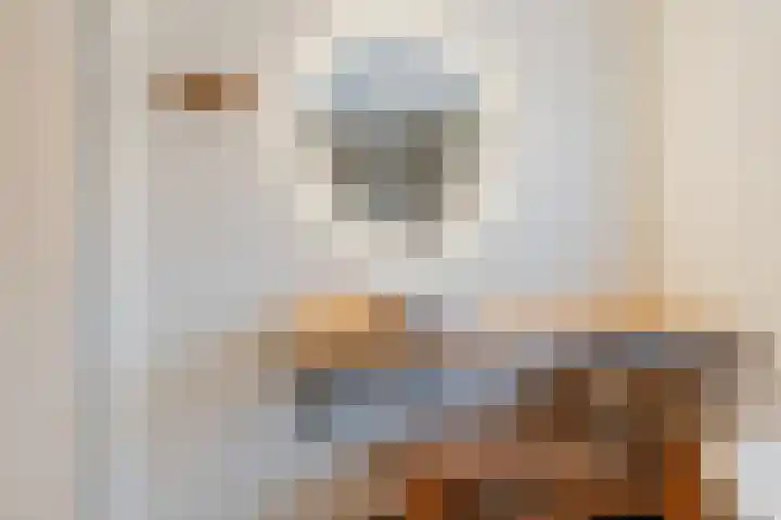 Bachstraat 22 Halsteren thumbnail 32
