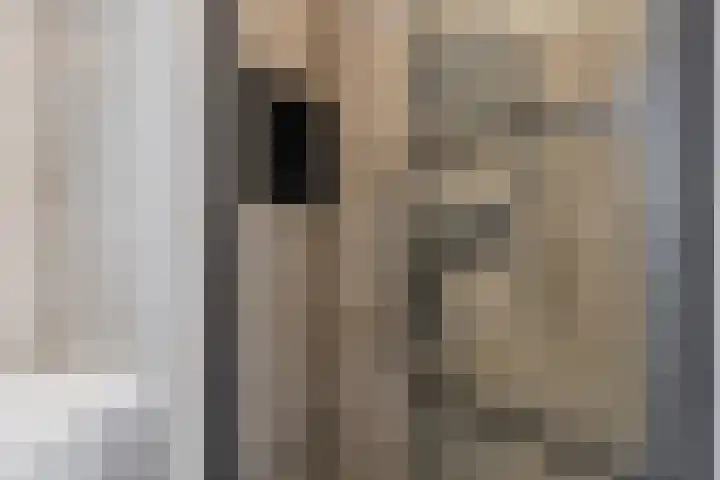 Bachstraat 22 Halsteren thumbnail 33