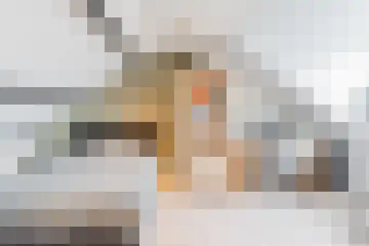 Bachstraat 22 Halsteren thumbnail 36